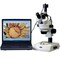 Amscope 3.5X-90X Stereo Zoom Microscope w Dual Halogen Lights, 5MP Camera SM-2TZ-5M - alternate 1